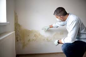 Best Mold-Related Health Consultation  in Hampton Manor, NY